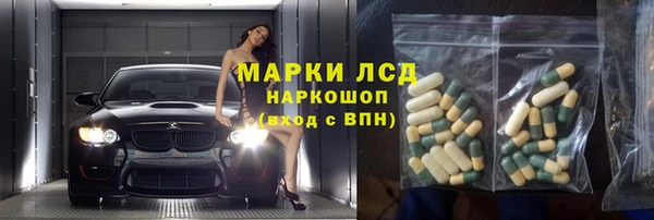 ПСИЛОЦИБИНОВЫЕ ГРИБЫ Алзамай