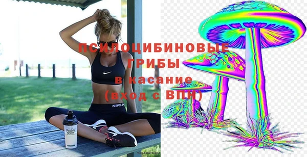 спайс Алексин