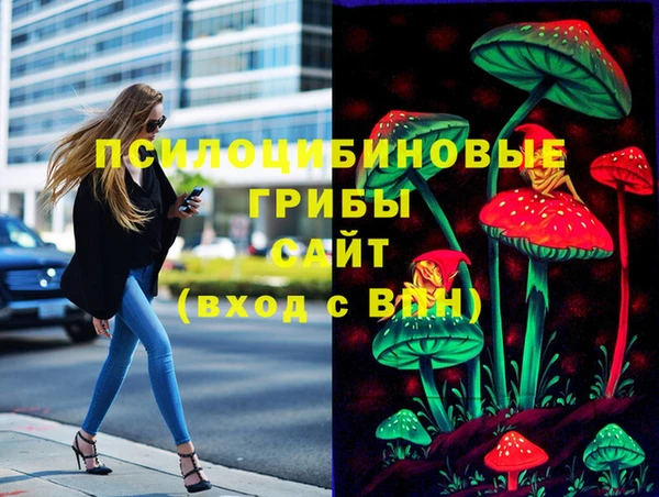 синтетический гашиш Алексеевка