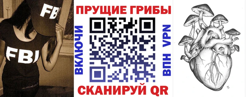 Купить где  Разумное  Псилоцибиновые грибы Psilocybine cubensis 