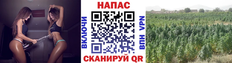 Купить закладки  Разумное  Каннабис Ganja 